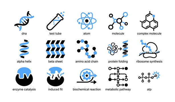 Molecular biology icons depicting biomolecules and concepts on white