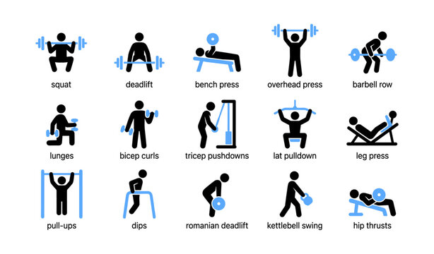 Gym exercise icons demonstrating weightlifting movements in grid