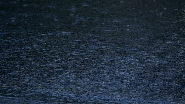 Tokyo,Japan - June 3, 2026: Heavy rain falling on a street surface at night
