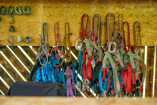 Safety belts and climbing carabiners on the wall in the outdoor park