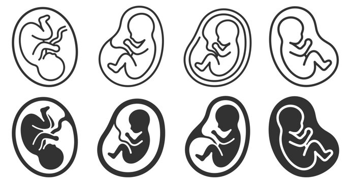 set of human fetus icons in various styles vector illustration on transparent background