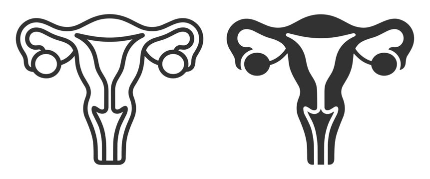 female reproductive system icon set, vector illustration of uterus with fallopian tubes and ovaries, medical and anatomy symbol on transparent background