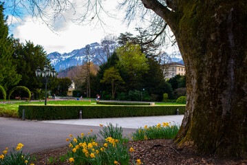 Obraz premium European park grass and trees, spring greenery 