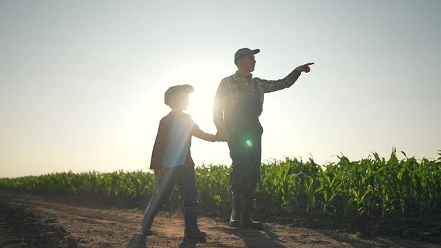 Father points ahead while holding his son hand as they walk through the cornfield. The father shares knowledge of the farm with his child. Father and son walk together, bonding in the peaceful field.