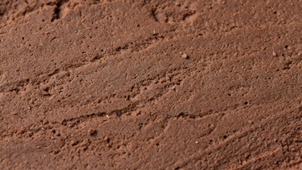 Rich Chocolate Cake Surface Texture
