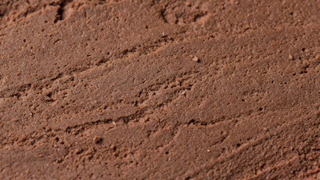 Rich Chocolate Cake Surface Texture