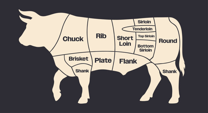 Beef, cuts, chart. Minimalist premium butcher diagram illustration showing cow meat section names. Flat graphic design perfect for culinary guides, menus, and restaurant decor - stock vector.