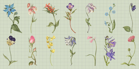 Obraz premium Vector of delicate watercolor flowers on a grid background, showcasing various blooms.
