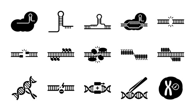 CRISPR Cas9 gene editing icons, 15 DNA modification vector symbols, biotechnology and genetic engineering research graphics