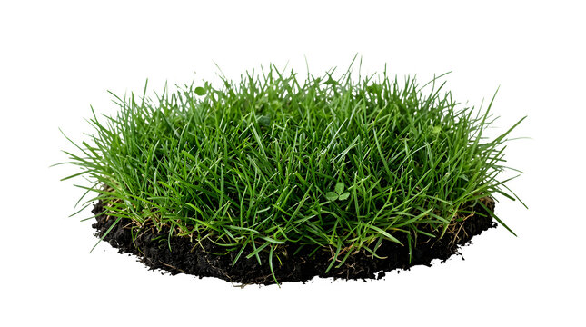 A patch of green grass with soil isolated on transparent background