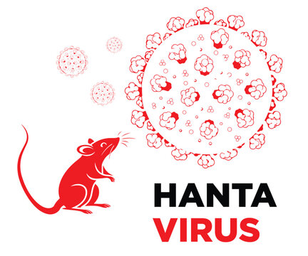 hantavirus disease infection vector