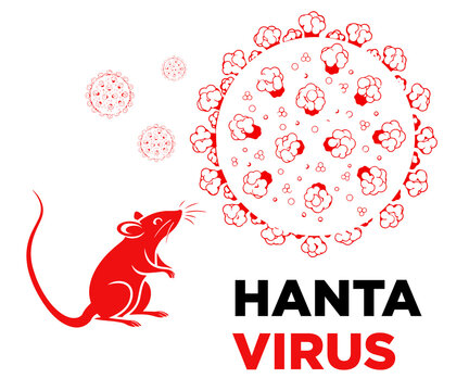 hantavirus disease infection