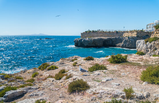 Beautiful coastal landscape with clear sea water beach in Tabarca Island