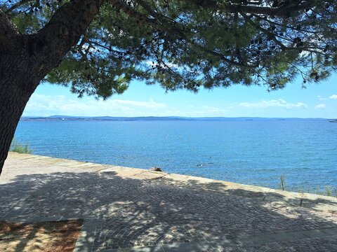 Shady waterfront at Lungomare Barcola with calm Adriatic Sea on a sunny summer day