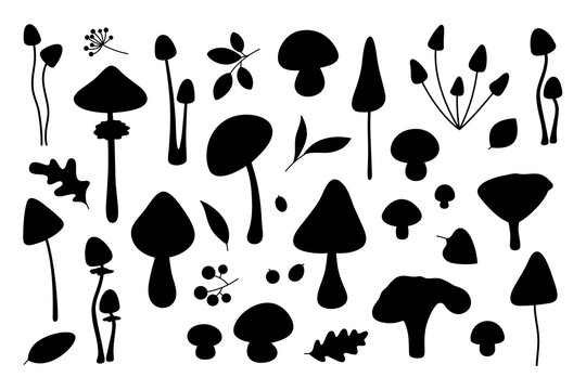Hand drawn forest mushroom silhouettes collection isolated on white background. Black shapes of autumn wild mushrooms and leaves in stencil style for logo, icons or packaging vector illustration