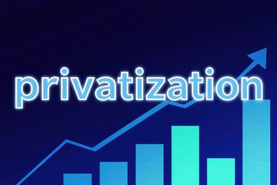Neon text privatization above bar chart with upward arrow. Finance graph shows growth. Economic concept illustration with dark blue background.