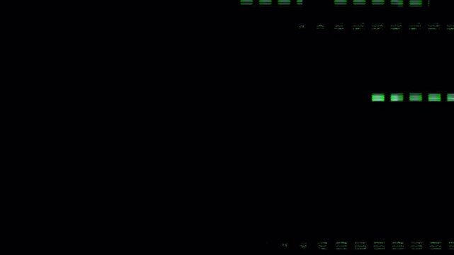 Green Digital Data Glitch Transition with Matrix Style Signal Distortion Overlay
