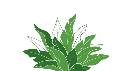 Fototapeta premium Green leafy plant illustration isolated on white background copy space design element