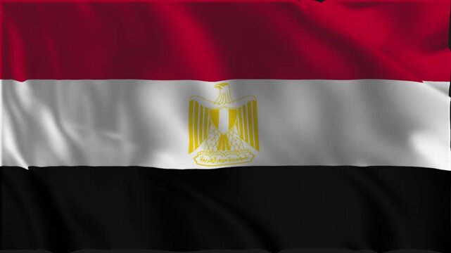 The Egyptian flag waving slowly in the foreground
