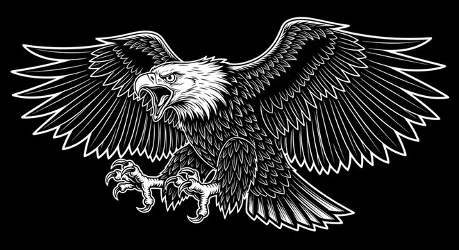 Majestic bald eagle attacking with open wings and talons