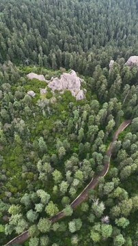 Aerial panoramic view of a winding country road next to rocky formations (crags) in a dense oyamel fir forest in Mineral del Chico, Hidalgo, Mexico, Vertical reveal pull-back drone shot