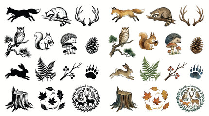 Collection of Forest Animals and Nature Elements in Watercolor and Silhouette Styles. © Renald