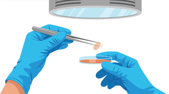 A pair of gloved hands uses precise metal tweezers to manipulate a small textured sample over a clear petri dish in a sterile lab setting.