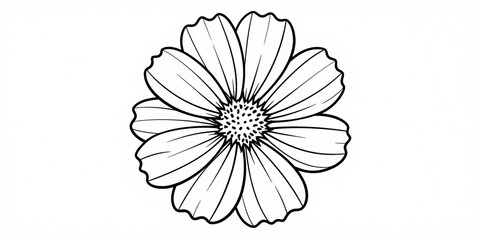 Obraz premium Simple line drawing illustration of a cosmos flower. Black outlines define petals and center. Ideal for design, coloring pages, and botanical art.