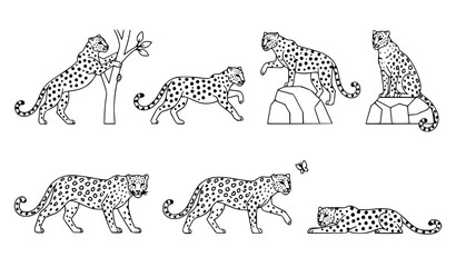 Leopard Flat Outline Vector Collection with Spotted Wild Cat Animal Designs © Romjan