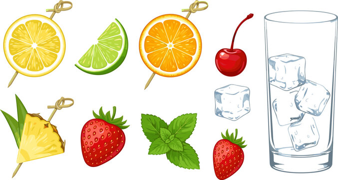 Refreshing summer drink ingredients with citrus slices strawberries mint pineapple cherry ice cubes and glass vector illustration