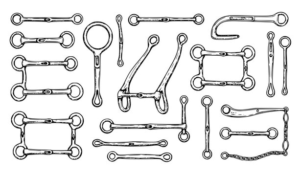 Hand Drawn Horse Bit Vector Set with Equestrian Tack Sketch Doodle Illustrations