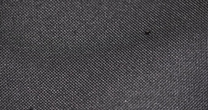 black dense synthetic fabric for the production of bags and other items, a durable and reliable black fabric with a dense weave of threads, material texture