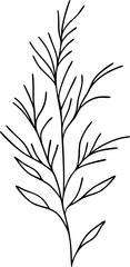 Fototapeta premium Floral Lineart