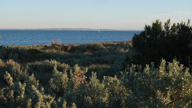 Thick coastal shrubs and native saltbush and sandy foreshore dunes at Werribee South, Melbourne Australia, looking out over the deep blue waters of Port Phillip Bay