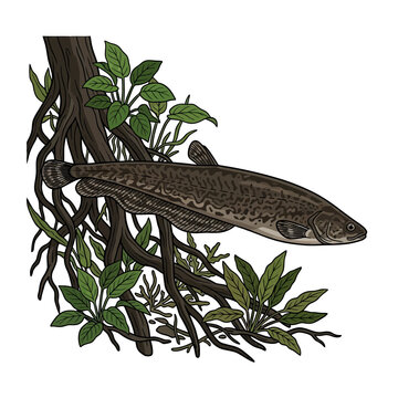 Illustration of a mudskipper fish in mangroves with roots and leaves