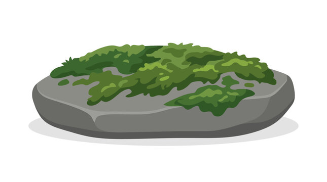 Moss on a Rock.