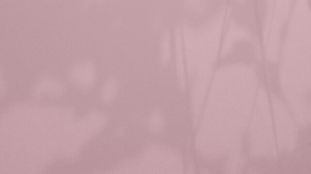 Abstract shadow pink premium gradation background texture blur gradient light pastel abstract luxury premium mockup peach color backdrop template valentine summer spring overlay mockup