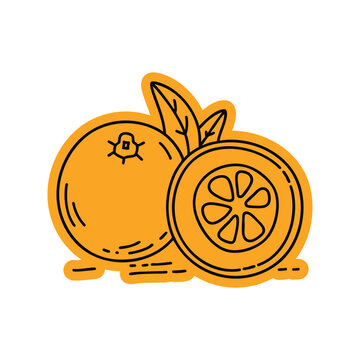 Sliced Nagami Kumquat with Seeds Sticker Doodle Illustration