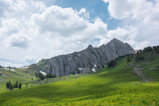 Grassy meadow and conifer trees on green hills against high rock mountain wall under lush clouds in blue sky. Big sharp rocky ridge with sheer crags. Sunlight and shadows in valley in cloudy weather.