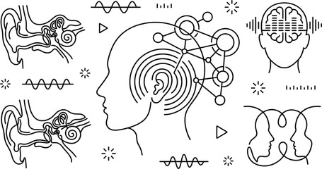  Human hearing audiology and brain sound processing line icon vector set with ear anatomy and frequencies © Sabbir Studio
