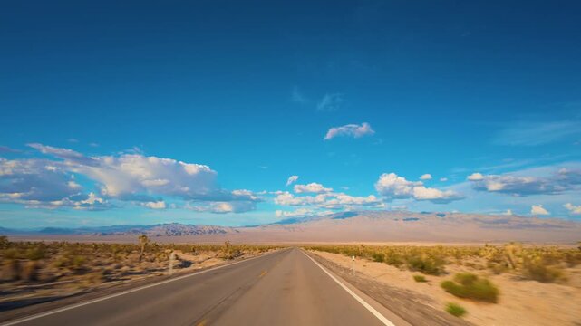Scenic Desert Road Drive in Southern Nevada