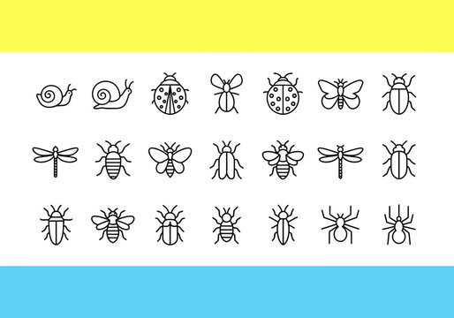 A collection of various insect icons and illustrations in a simple line art style