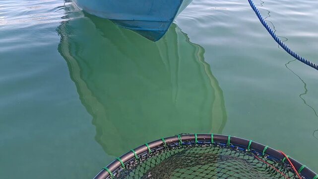 Blue fishing boat bow reflection on clear calm emerald green water with fish net cage.
