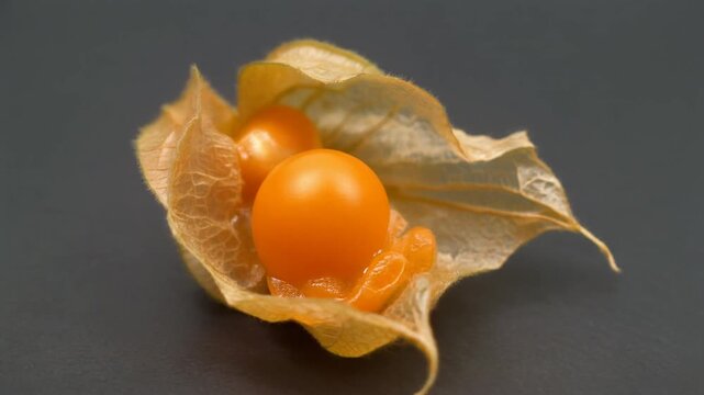 Vibrant golden Physalis fruit slowly opening its papery husk in cinematic macro view, revealing the juicy berry on a dark background