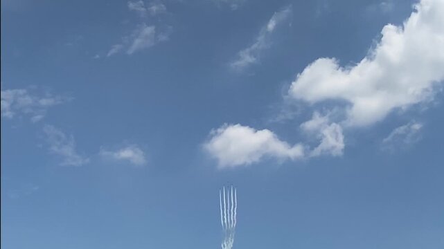 Blue impalse in japan.