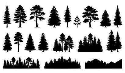 Fototapeta premium Evergreen fir and pine tree silhouette vector assortment with forest treetop panorama