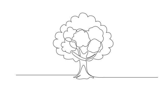tree vector continuous one line drawing animation, Leaves continuous line drawing animated video. Plant branch one line art,