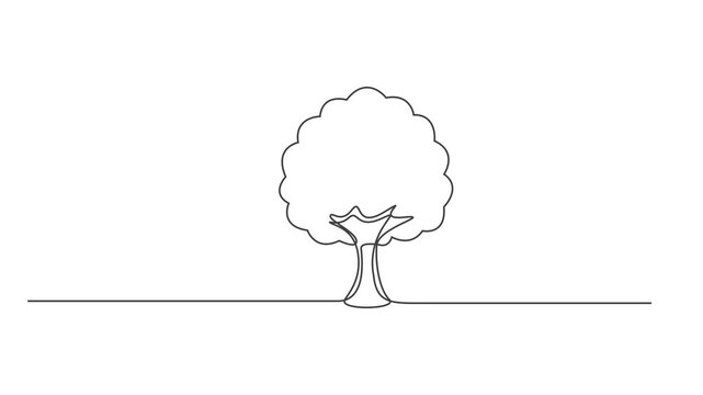tree vector continuous one line drawing animation, Leaves continuous line drawing animated video. Plant branch one line art,