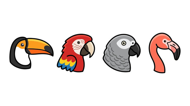 Collection of tropical bird head icons featuring toucan, scarlet macaw, African grey parrot, and flamingo.