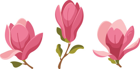Pink magnolia flower vector set, beautiful spring blossom buds for elegant botanical card pattern design © Arishfa